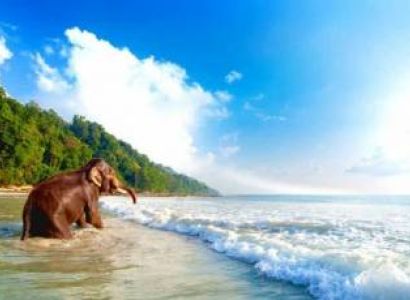 05 Nigh 06 Days  Havelock And Neil Luxury Tour Package