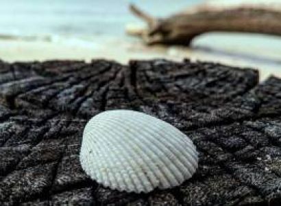 Port Blair and Havelock Island Tour