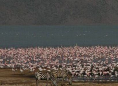 Kenya 7N - 8D Tour Package