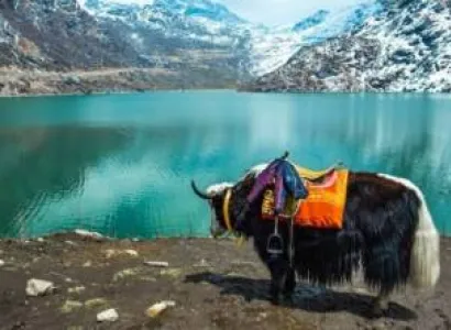 3Night 4Days Sikkim Tour