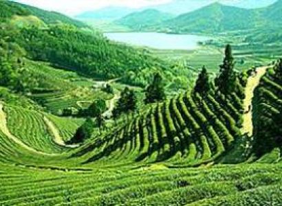 7 Days Gangtok - Darjeeling Tour