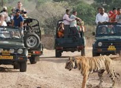 Ranthambore Weekend Trip Tour