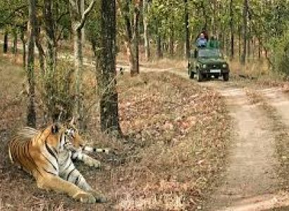 Exploring Pench Tour