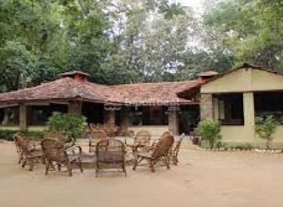 Bandhavgarh Tiger Trail Tour