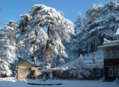 5 Days Shimla Tour