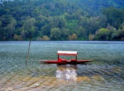 Munnar, Thekkady and Alleppey Premium Package for 5 Days