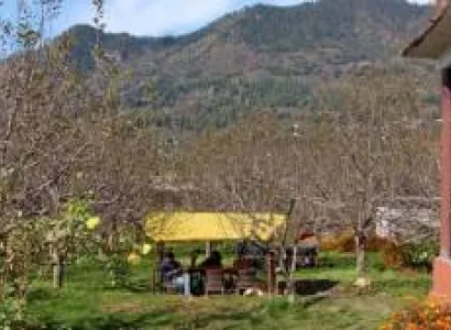 Kullu Valley Bijli Mahadev Trek Tour