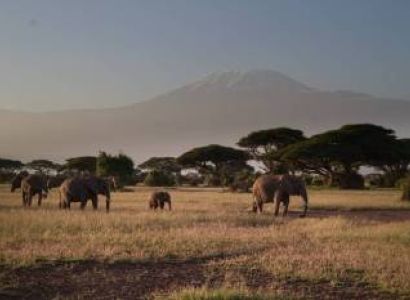 9 Days Amboseli, Tsavo West, Tsavo East & Diani Beach