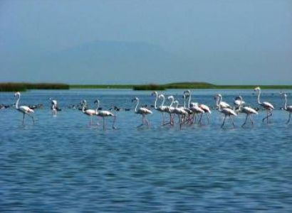 Bhubaneswar and Puri, Konark and, Chilika Lake, Barkul / Rambha Tour