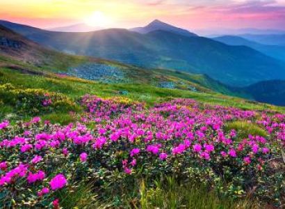 Valley of Flowers Trekking Tour