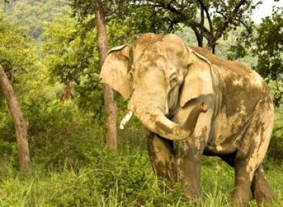 JUNGLE SAFARI RISHIKESH TOUR