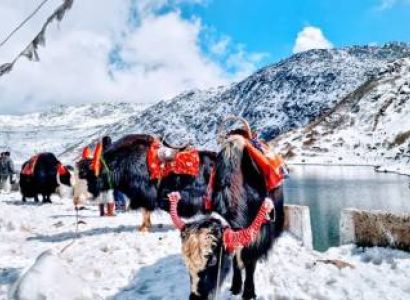 Darjeeling - Pelling - Gangtok - Kalimpong Tour