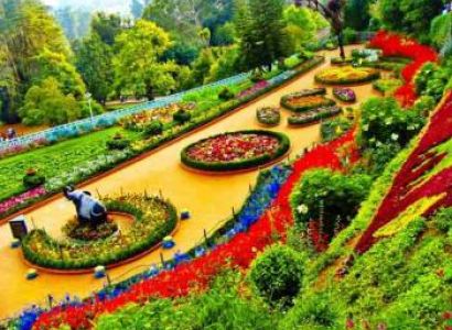 6 Days Bangalore-Mysore-Ooty-Bangalore Tour
