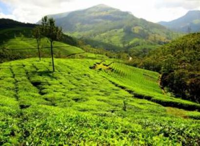 7 Days Kochi Athirapally Kanthaloor Munnar Tour