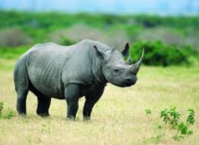 Meghalaya Kaziranga Tour 06 Night 07 Days