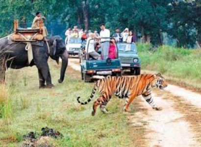 Nainital Corbett Ranikhet Kausani Tour