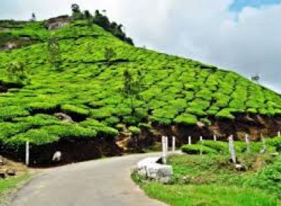 Kerala Tour Package 5 Days