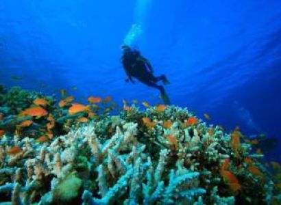 Package with Couple : (one Night)