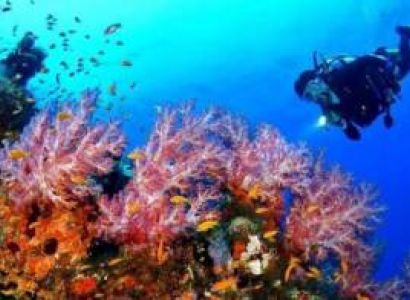 Wateractivity Combo Package