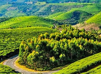 Mysore – Ooty – Kodaikanal Nature Holidays | Tour Packages from Bengaluru