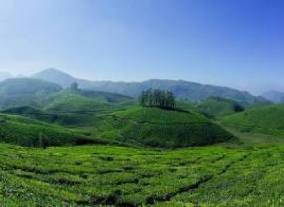 Munnar-thekkady-kumarakom (Alleppey Backwaters) other Holidays | Tour Packages from Bengaluru