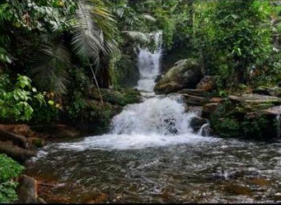 1 Day Elephant Land Jeep Safari Tour