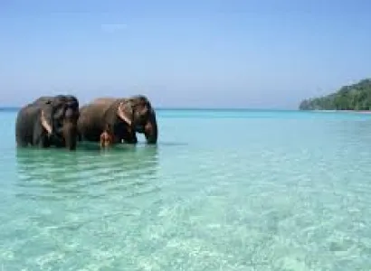 Port Blair Tour 5 Days