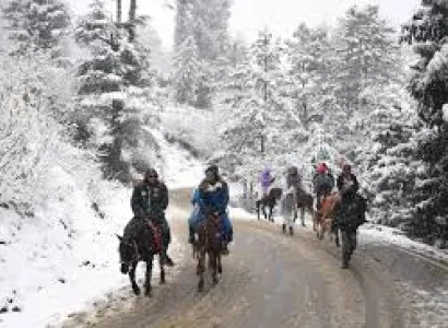 Shimla Manali Tour