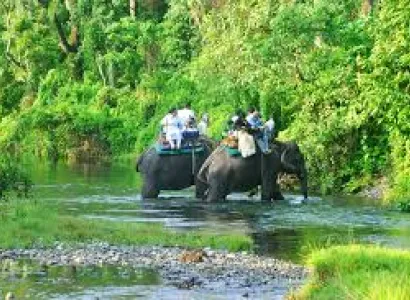 GREEN DOOARS  JUNGLE  TRIP PACKAGE