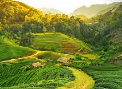 Amazing Assam Tour 8 Days