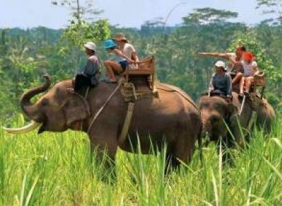 Royal Uttaranchal Tour  (06 Days / 05 Nights)