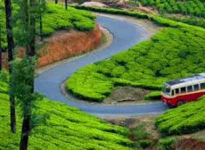 Kerala Honeymoon Package
