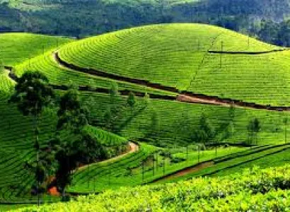 Kerala Honeymoon Tour Package