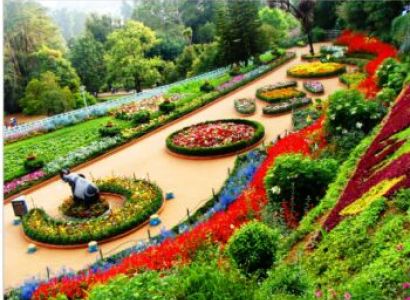 4N/3D Enchanting Ooty And Conoor Tour