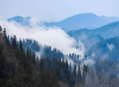 Shimla – Kullu – Manali Tour Package