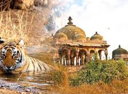 Golden Triangle Tour with Ranthambore