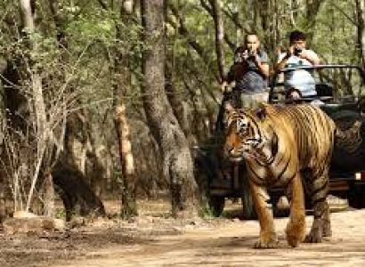 Ranthambore 2 Nights Ex Jaipur Tour