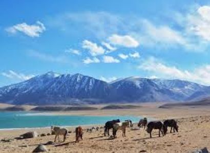 Srinagar Kargil Leh Manali Tour