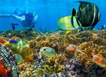 Cairo And Sharm El Sheikh Package