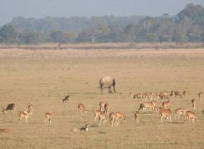 2 Night 3 Days Jim Corbett Tour Package