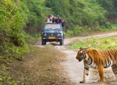 3 Night 4 Days Jim Corbett Nainital Tour Image