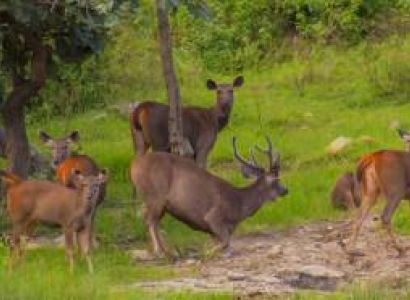 2 Nights 3 Days Tour Image