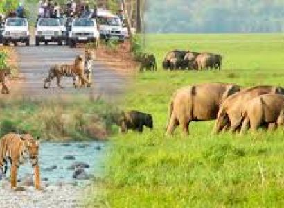 Uttaranchal Couple Trip