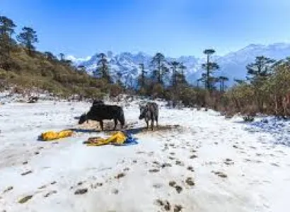 Gangtok  Pelling tour