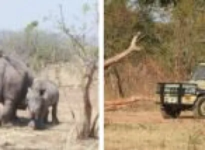 4 Days - 3 Nights Livingstone - Chobe Experience Tour