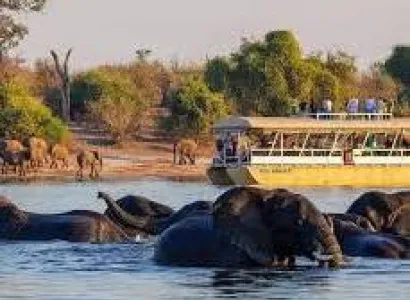 5 Days - 4 Nights Zambia Safari Package