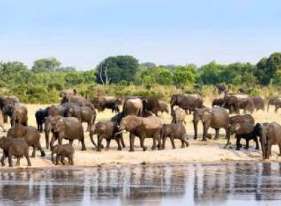 8 Days - 7 Nights Zambia Classic Safari Tour