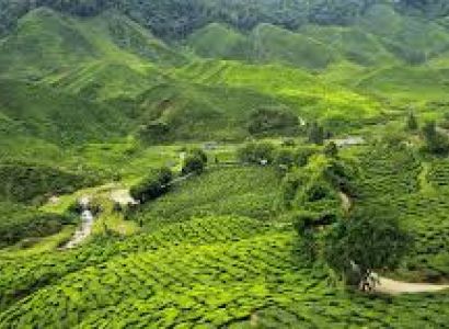 Darjeeling Tour 4 Days