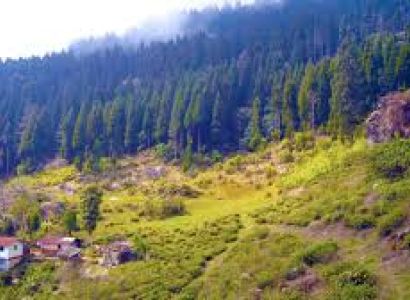 Peshok  Sittong  Darjelling Tour