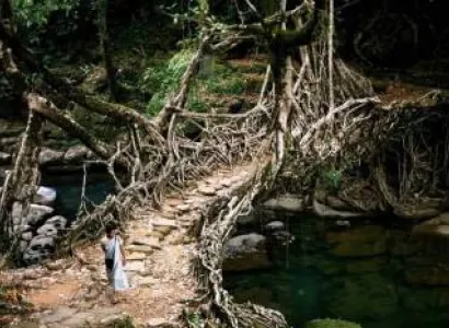 Shillong Tawang Kaziranga (Meghalaya - Assam - Arunachal)